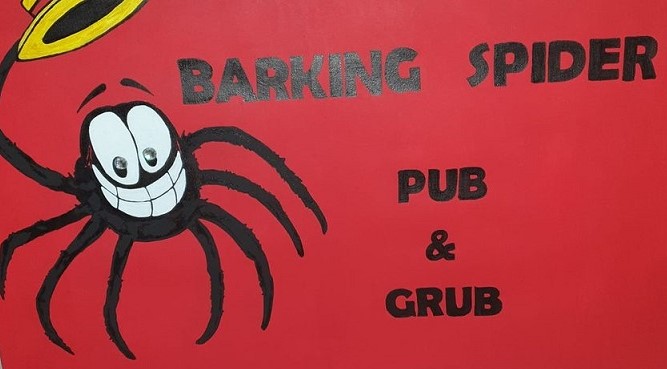 the barking spider pub grub port elizabeth 01