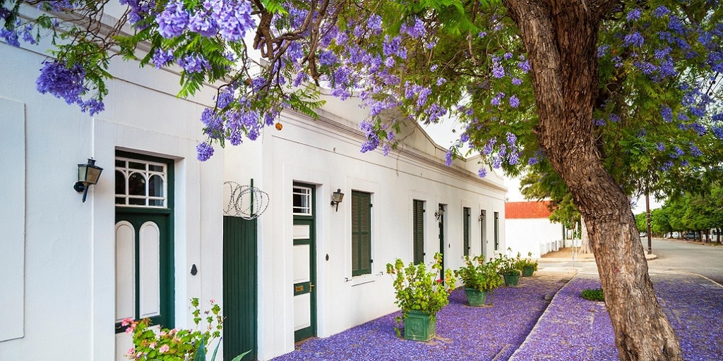 Graaff-Reinet local Business Directory