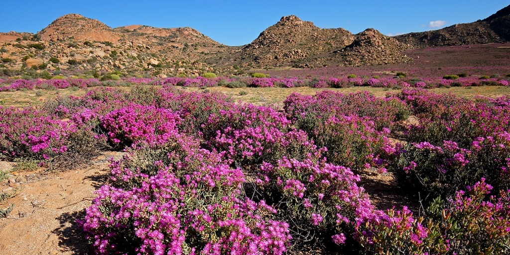 Northern Cape Business Directory