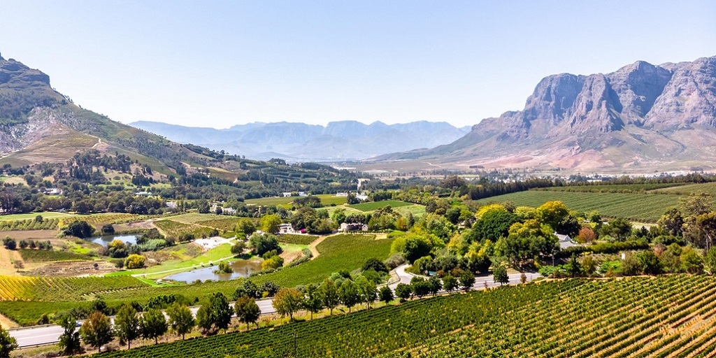 Stellenbosch Business Directory