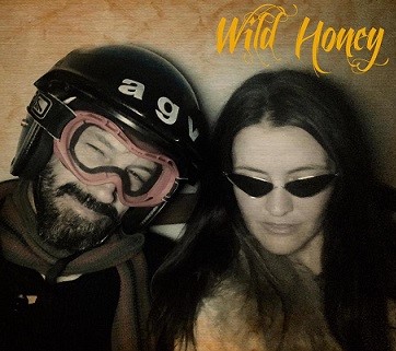 wild honey musicians duo act port elizabeth profile