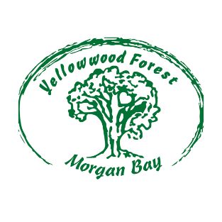 yellowwood forest camping grounds morgan bay logo