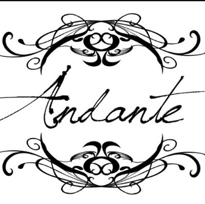 andante country venue weddings port elizabeth logo
