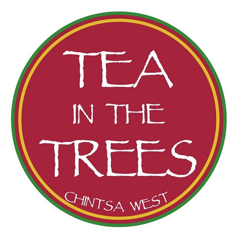 tea in the trees events wedding venues cintsa logo