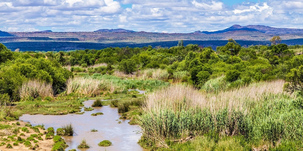 Cradock Go-to Guide