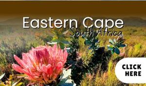 Find tourism options in Eastern Cape