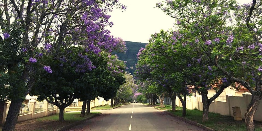 Somerset East Go-to Guide