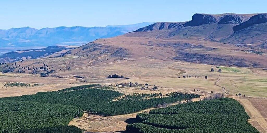 Amathole Region, Eastern Cape Go-to Guide