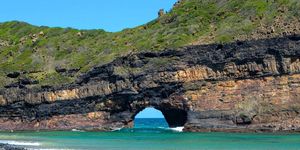 Wild Coast Go-to Guide